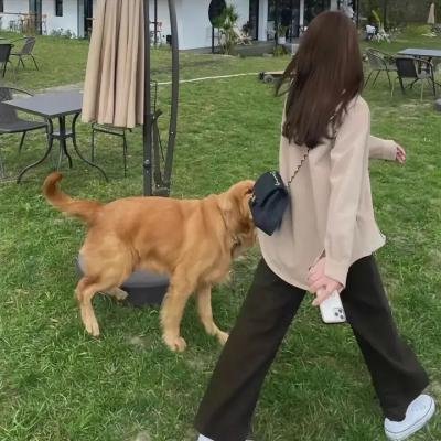 迷途人生